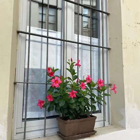 Vicolo San Giuseppe 8a E 8b Apartamento *