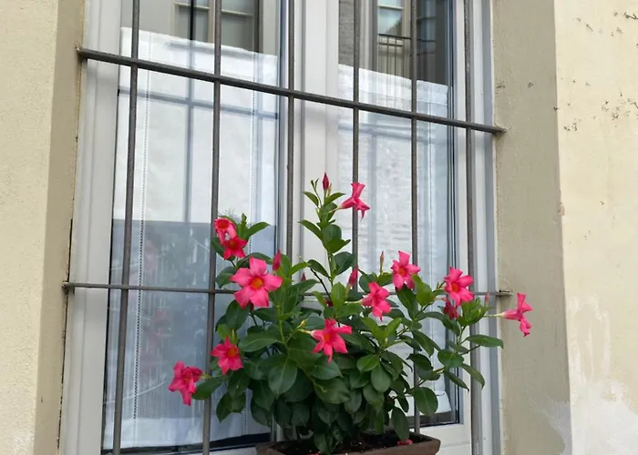 Vicolo San Giuseppe 8a E 8b 아파트 *